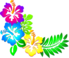 Hibiscus Corner Clip Art