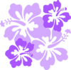 Hibiscus Clip Art