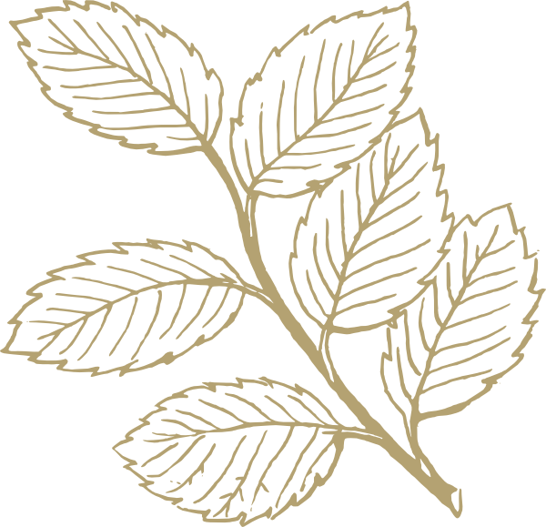 clip art olive leaves - photo #7