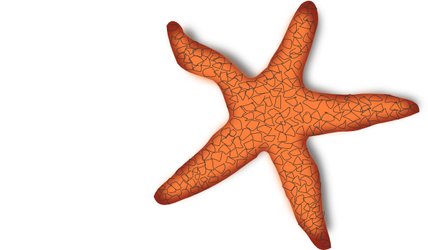 free starfish clipart - photo #44