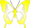 Butterfly Clip Art