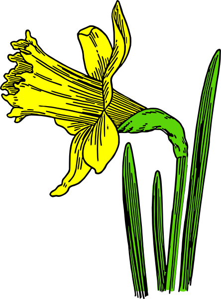 daffodil flower clip art free - photo #28