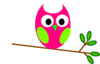 Pink And Green Owl Clip Art