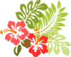 Hibiscus Clip Art