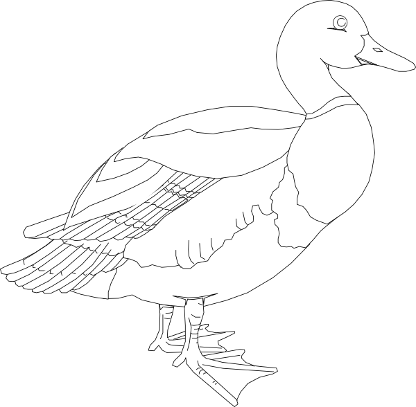 clipart black and white duck - photo #23