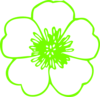 Lime Green Buttercup Clip Art