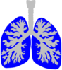 Lung Blue Clip Art