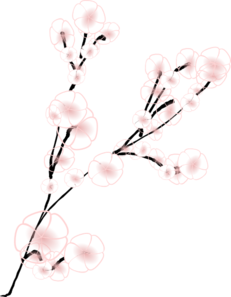 Simple Cherry Blossom Branch Clip Art At Clker Com Vector Clip Art Online Royalty Free Public Domain