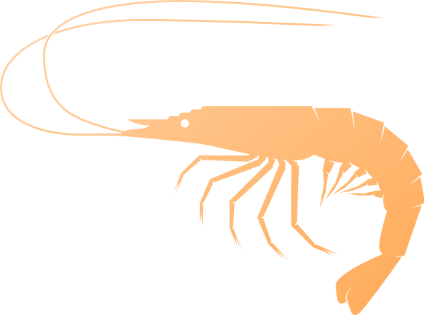 shrimp boat clip art free - photo #9