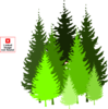 Pine Tree Grouping By Atom Clip Art
