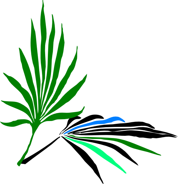palm leaves clipart - photo #4