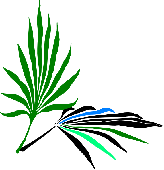 palm leaf clipart - photo #2