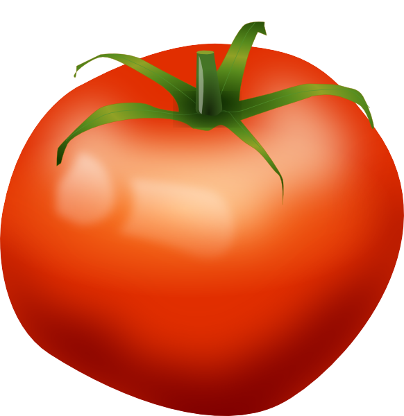 clipart of tomato - photo #18
