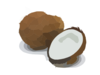 Coconut Clip Art