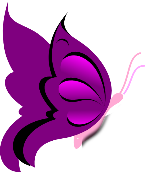 Butterfly Sweety Clip Art Clker Vector Online Png Small Medium