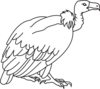 Big White Vulture Clip Art