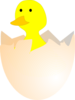 Hatching Chick Clip Art