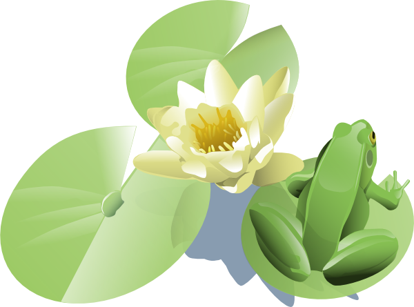 lily flower clipart - photo #48