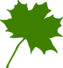 Green Maple Leaf Clip Art