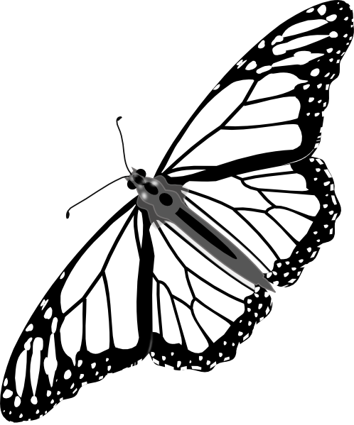 clip art butterfly outline - photo #46