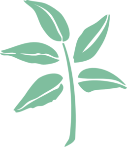 Leaf Clip Art