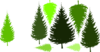 Pine Tree Grouping By Jc Clip Art