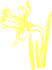 Yellow Daffodil Clip Art