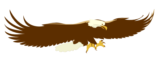 eagle-hi