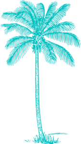 palm-tree-md.png