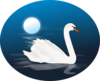 Swan 4 Clip Art