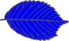 Blue Leaf Clip Art