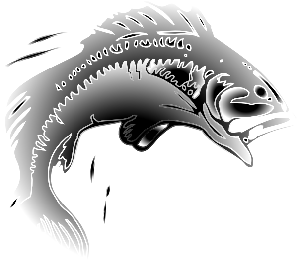 free jumping fish clip art - photo #7