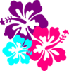 Hibiscus Clip Art