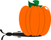 Pumpkin Clip Art