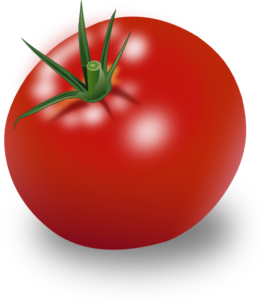 tomato plant clip art - photo #32