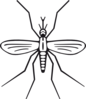 Mosquito Clip Art