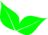 Two Leaves Clip Art