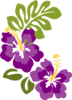 Hibiscus Pair Clip Art