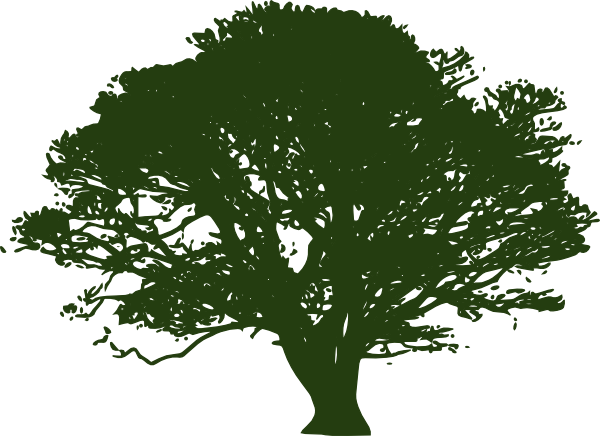New Green Tree Clip Art at Clker.com - vector clip art online, royalty