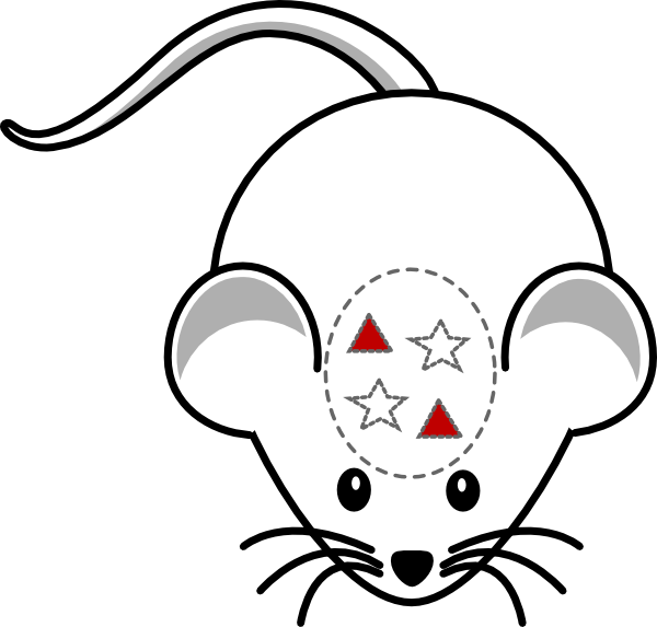 mouse brain clipart - photo #11