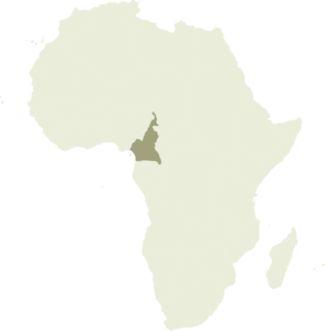 Africa Cameroon Clip Art At Clker Com Vector Clip Art Online Royalty Free Public Domain