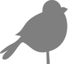 Bird Gray Clip Art