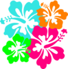 Hibiscus Clip Art