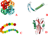 Protein Strukture  Clip Art