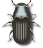 Bug Clip Art