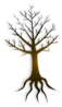 Tree Trunk Clip Art