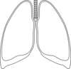 Lung Clear Lung Clip Art