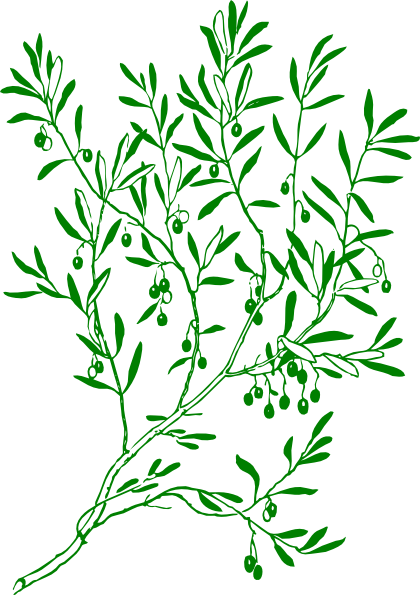 free clip art olive leaf - photo #38