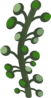 Firebog Underground Bogwillow Clip Art