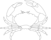 Whte Crab Clip Art